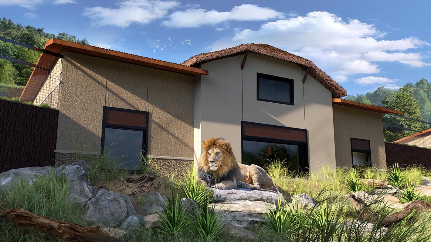 Good Zoo: Lion Habitat and Base Camp Villas